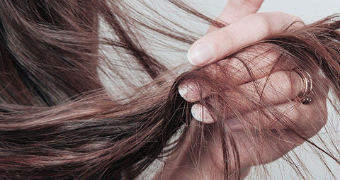 La Kératine et la Prêle des champs : Une synergie unique pour renforcer et embellir vos cheveux - June Laboratoire