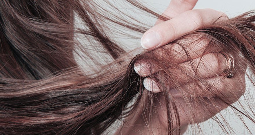 La Kératine et la Prêle des champs : Une synergie unique pour renforcer et embellir vos cheveux - June Laboratoire